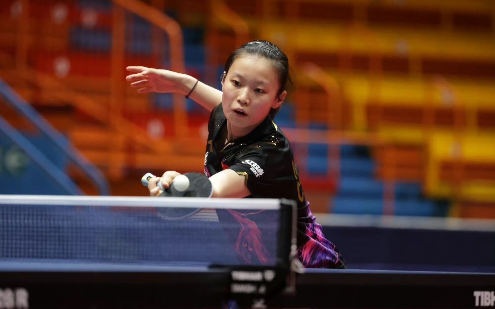 甲内部正在 甲内部正在